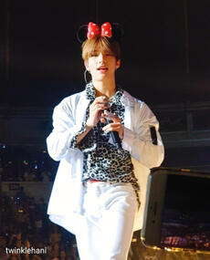 minnie mouse hyunjin